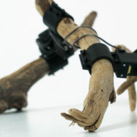 Científicos japoneses crean un robot hecho con ramas de árbol y capaz de aprender por sí mismo a moverse